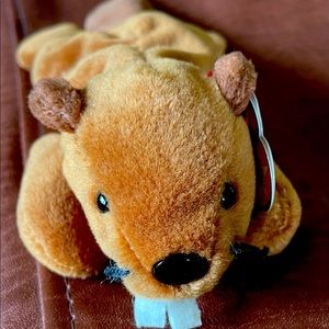 Bucky the Beaver Beanie Baby